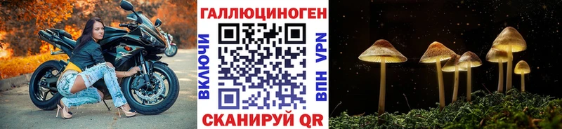 где найти наркотики  Камбарка  Псилоцибиновые грибы ЛСД 